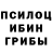 Галлюциногенные грибы GOLDEN TEACHER MINA NIMI