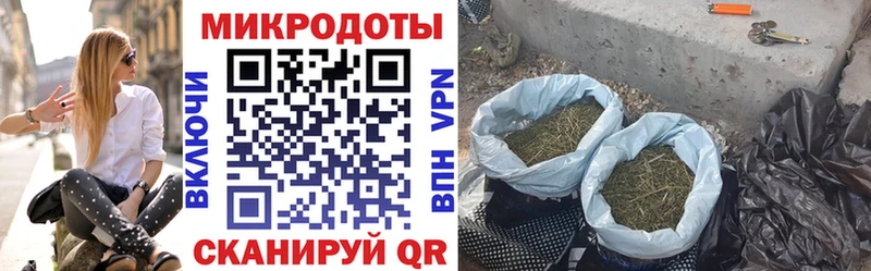 Галлюциногенные грибы MAGIC MUSHROOMS  цена наркотик  Сибай 